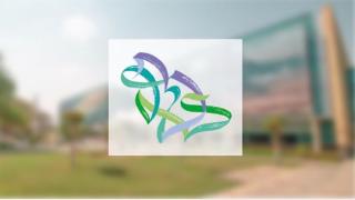 مبادرة “شركاء النجاح” في جدة تطلقها وزارة السياحة لتطوير الشراكات