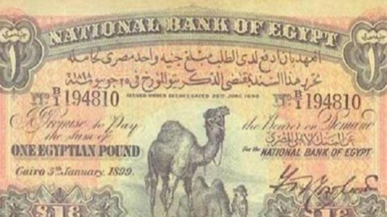 “جنيه مصري قديم” يجعل حامله مليونيرا
