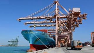 زيادة كبيرة في كميات المسافنة وأعداد السيارات بموانئ المملكة