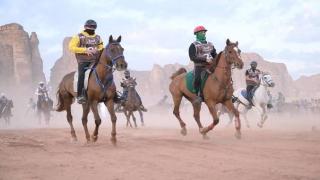 فوز 12 فارساً وفارسة بكأس الفرسان للقدرة والتحمل بمحافظة العلا