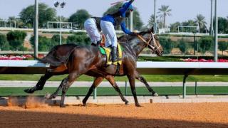 أول خيالة سعودية “أمل” تشارك في سباقات السرعة في ميدان الملك عبدالعزيز العالمي